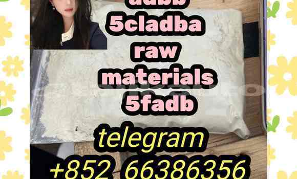 Medium with watermark 2