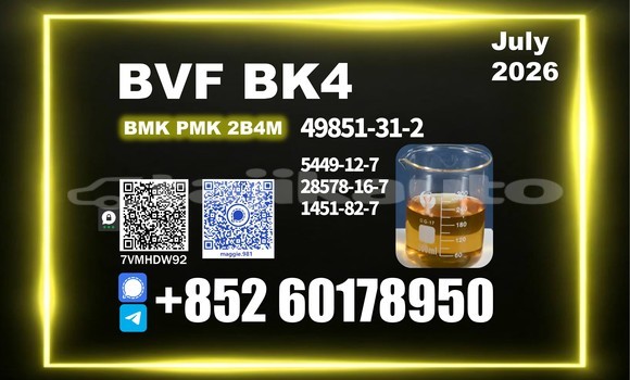 Medium with watermark bvf cas 49851 31 2 synthesis reaction vessel