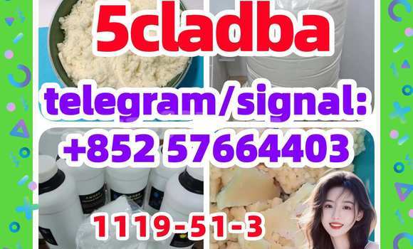 Medium with watermark 51