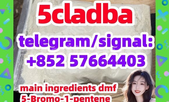 Medium with watermark 52
