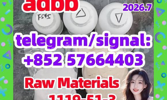 Medium with watermark 53