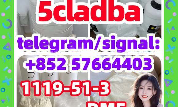 Medium with watermark 54