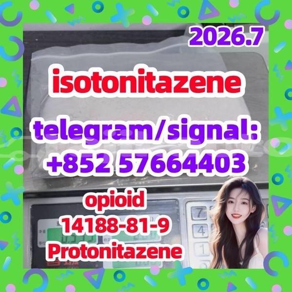Big with watermark i2