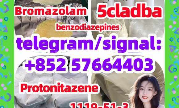 Medium with watermark z3