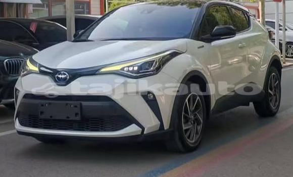 Buy Used Toyota C-HR White Car in Buston in Sughd