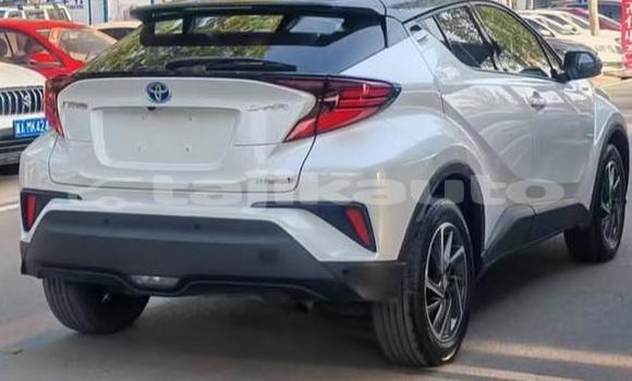 Buy Used Toyota C-HR White Car in Buston in Sughd Buy Used Toyota C-HR White Car in Buston in Sughd
