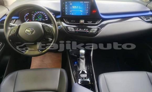 Buy Used Toyota C-HR White Car in Buston in Sughd Buy Used Toyota C-HR White Car in Buston in Sughd