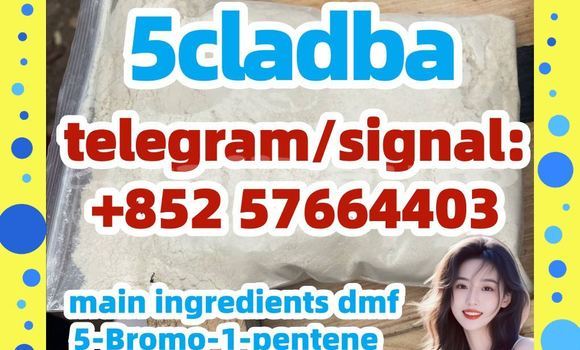 Medium with watermark 52