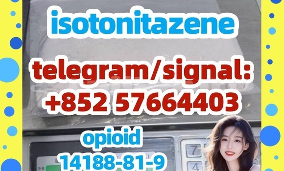 14188-81-9 Isotonitazene