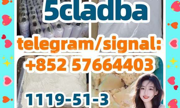 Medium with watermark 56