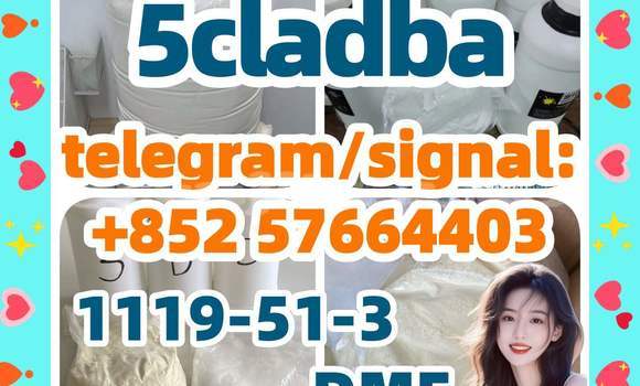 Medium with watermark 53