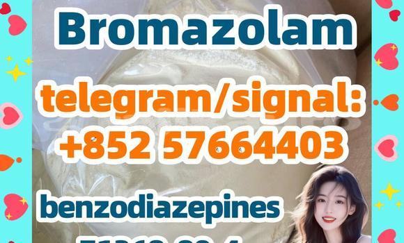 Medium with watermark b1