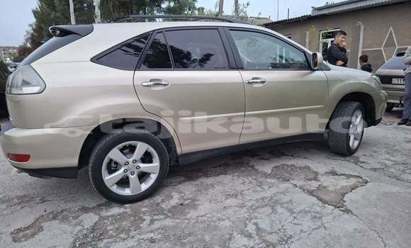 Buy Used Lexus RX 330 Other Car in Chkalov in Sughd Buy Used Lexus RX 330 Other Car in Chkalov in Sughd