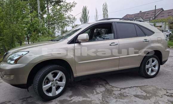 Buy Used Lexus RX 330 Other Car in Chkalov in Sughd Buy Used Lexus RX 330 Other Car in Chkalov in Sughd