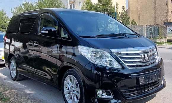 Buy Used Toyota Alphard Black Car in Chkalov in Sughd