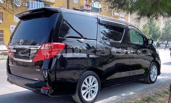 Buy Used Toyota Alphard Black Car in Chkalov in Sughd Buy Used Toyota Alphard Black Car in Chkalov in Sughd