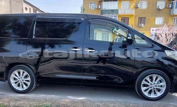 Buy Used Toyota Alphard Black Car in Chkalov in Sughd Buy Used Toyota Alphard Black Car in Chkalov in Sughd