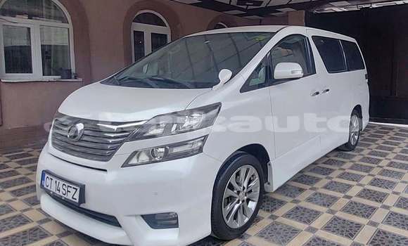 Buy Used Toyota Alphard White Car in Chkalov in Sughd