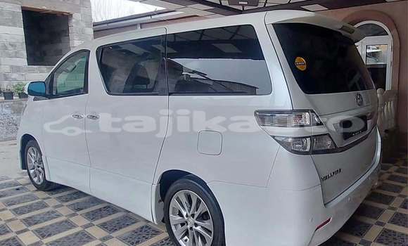 Buy Used Toyota Alphard White Car in Chkalov in Sughd Buy Used Toyota Alphard White Car in Chkalov in Sughd