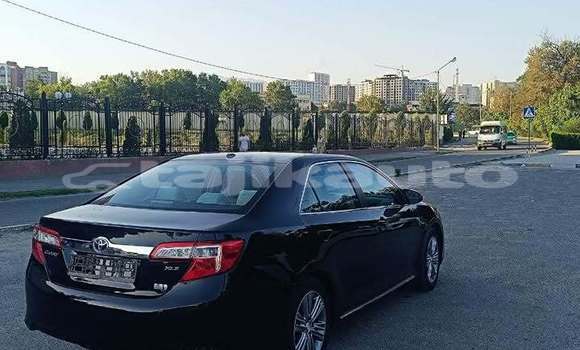Buy Used Toyota Corolla Black Car in Dangara in Khatlon