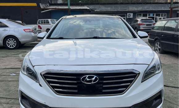 Buy Used Hyundai Sonata White Car in Chkalov in Sughd