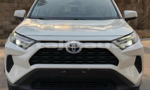 Buy Used Toyota RAV4 White Car in Buston in Sughd