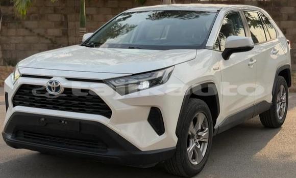 Buy Used Toyota RAV4 White Car in Buston in Sughd Buy Used Toyota RAV4 White Car in Buston in Sughd