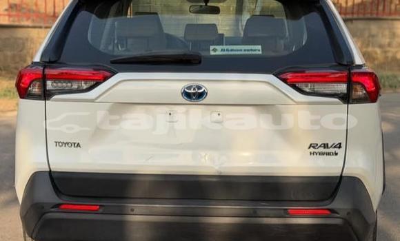Buy Used Toyota RAV4 White Car in Buston in Sughd Buy Used Toyota RAV4 White Car in Buston in Sughd