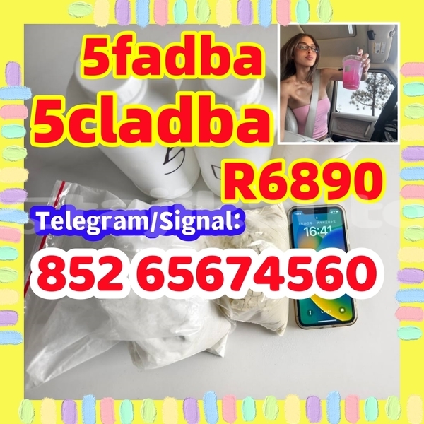 Big with watermark photo 2026 07 01 14 44 56 %e5%89%af%e6%9c%ac