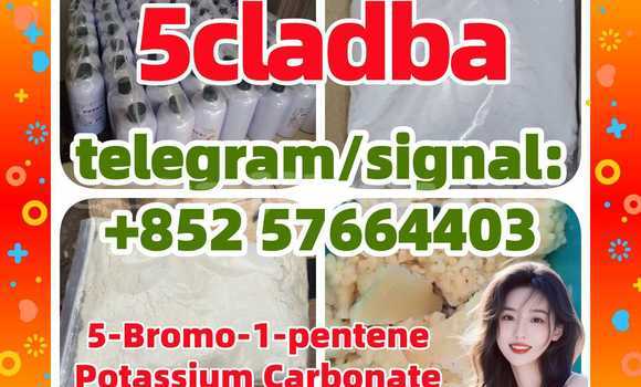Medium with watermark 51