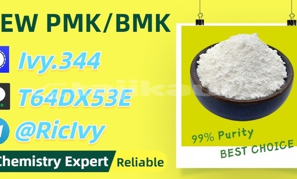 Buy Used Baltijas Dzips BD-1322 Brown Car in Chkalov in Sughd