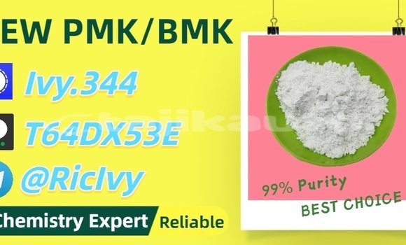 Buy Used Ford Bronco-II Silver Car in Nurak in Khatlon
