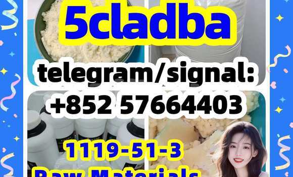 Medium with watermark 56