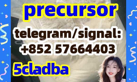 Medium with watermark 55