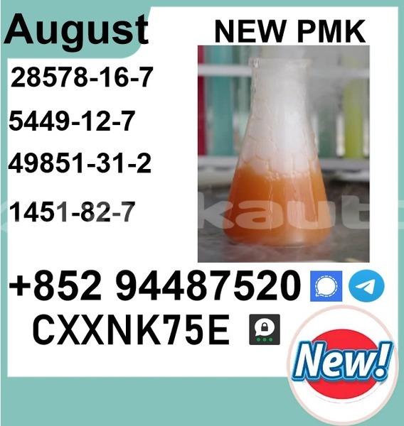 Big with watermark p13