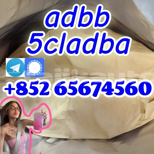 Big with watermark 66 %e5%89%af%e6%9c%ac