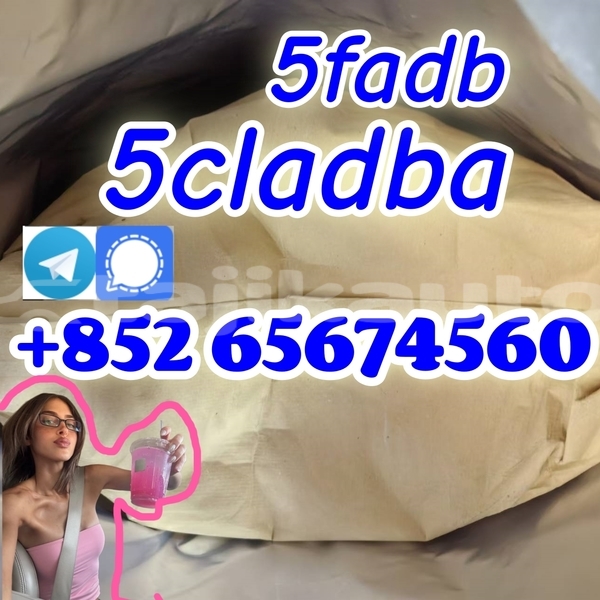 Big with watermark 66 %e5%89%af%e6%9c%acasfwrfgerg