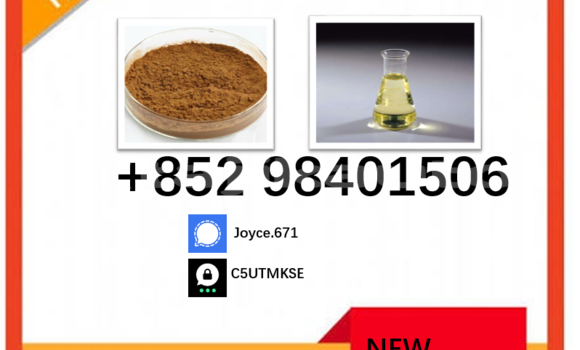 Medium with watermark 5449 125