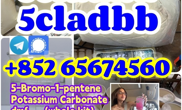 Medium with watermark %e6%9c%aa%e5%91%bd%e5%90%8d