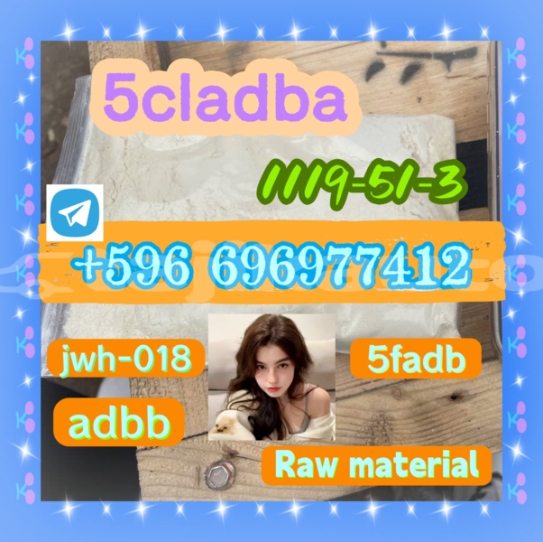 Big with watermark 0.51