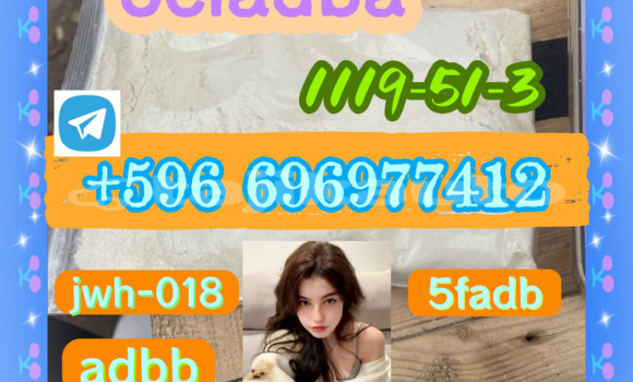 Medium with watermark 0.51