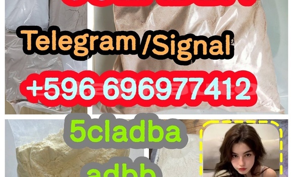 Medium with watermark 2