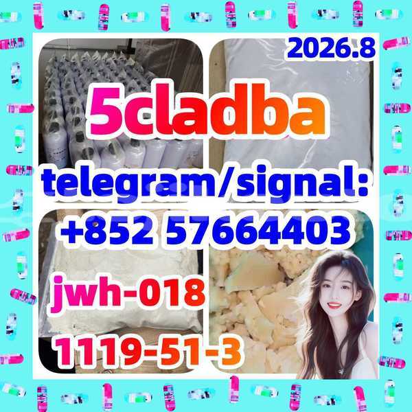 Big with watermark 51