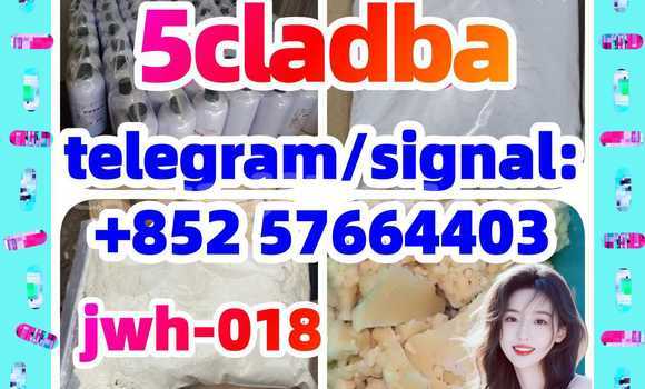 Medium with watermark 51