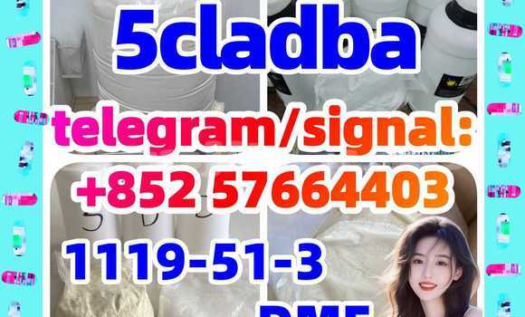 Medium with watermark 55
