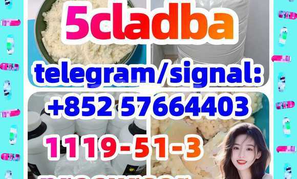 Medium with watermark 56
