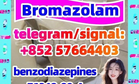 Medium with watermark b1