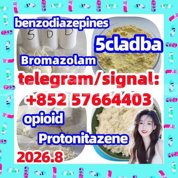Big with watermark z1