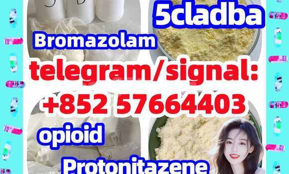 Medium with watermark z1