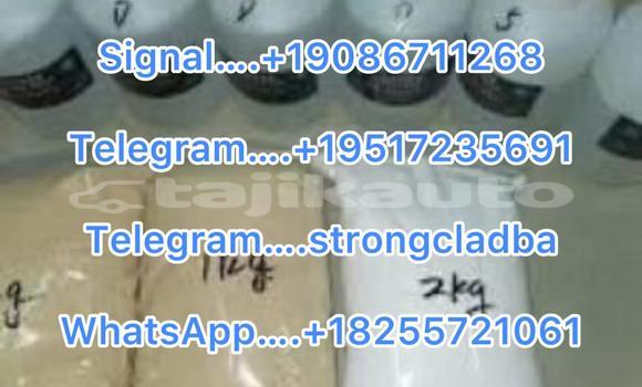 Medium with watermark a12